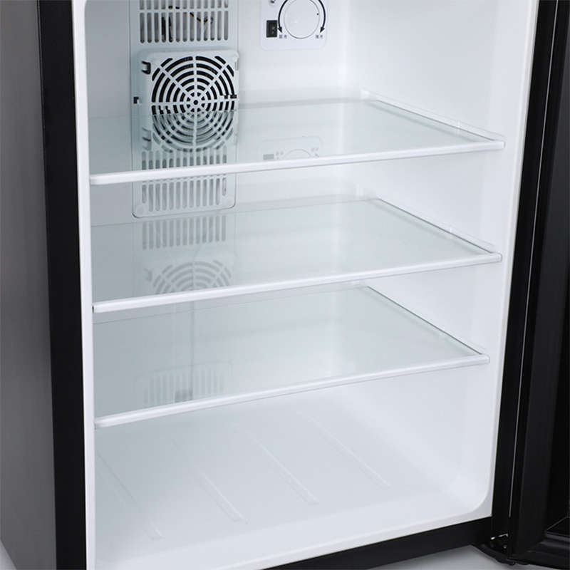 Mini Fridge Cooler 40L Refrige – Wine Beer Mini Fridge Bewertung und Preis