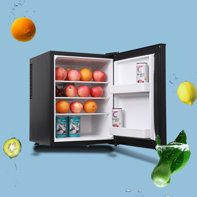 Mini Fridge Cooler 40L Refrige – Wine Beer Mini Fridge Bewertung und Preis